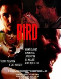 Фильм Bird (2020) скачать торрент