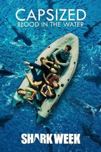 Фильм Capsized: Blood in the Water (2019) скачать торрент