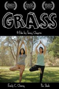 Фильм Grass (2017) скачать торрент