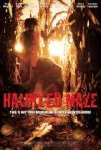 Фильм Haunted Maze (2013) скачать торрент