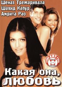 Фильм Какая она, любовь (2003) скачать торрент