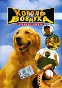 Фильм Король воздуха: Седьмая подача (2002) скачать торрент