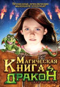 Фильм Магическая книга и дракон (2009) скачать торрент