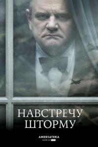 Фильм Навстречу шторму (2009) скачать торрент