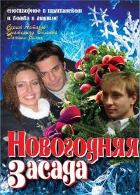 Фильм Новогодняя засада (2008) скачать торрент