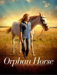 Фильм Orphan Horse (2018) скачать торрент