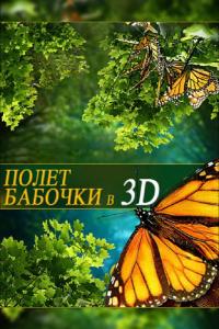 Фильм Полет бабочки 3D (2012) скачать торрент