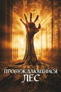 Фильм Пробуждающийся лес (2009) скачать торрент