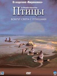 Фильм Птицы (2001) скачать торрент