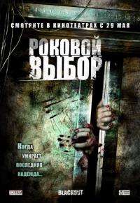 Фильм Роковой выбор (2007) скачать торрент