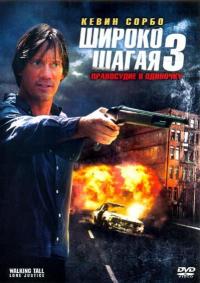 Фильм Широко шагая 3: Правосудие в одиночку (2007) скачать торрент