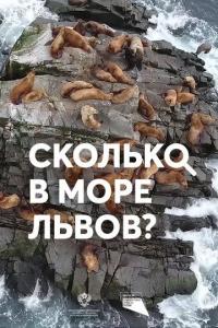 Фильм Сколько в море львов? (2018) скачать торрент