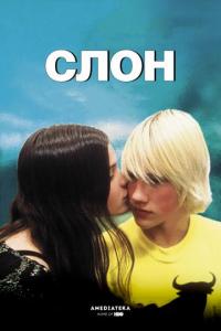 Фильм Слон (2003) скачать торрент