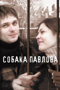 Фильм Собака Павлова (2005) скачать торрент