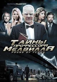 Фильм Тайны профессора Мелвилла (2010) скачать торрент