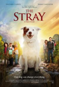 Фильм The Stray (2017) скачать торрент