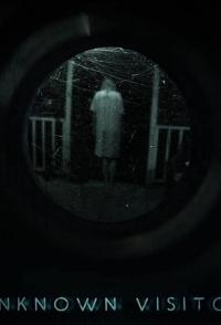 Фильм Unknown Visitor (2019) скачать торрент