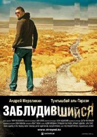 Фильм Заблудившийся (2009) скачать торрент