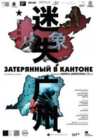 Фильм Затерянный в Кантоне (2014) скачать торрент