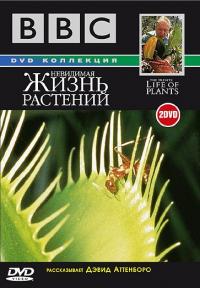 Сериал BBC: Невидимая жизнь растений (1995) скачать торрент