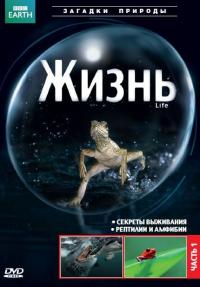 Сериал BBC: Жизнь (2009) скачать торрент