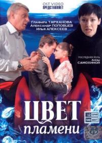 Сериал Цвет пламени (2010) скачать торрент