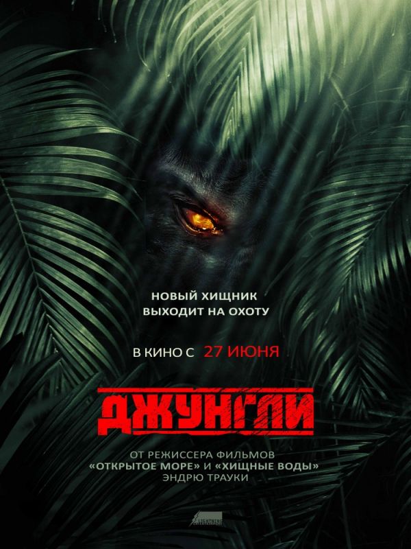 Фильм Джунгли (2013) скачать торрент