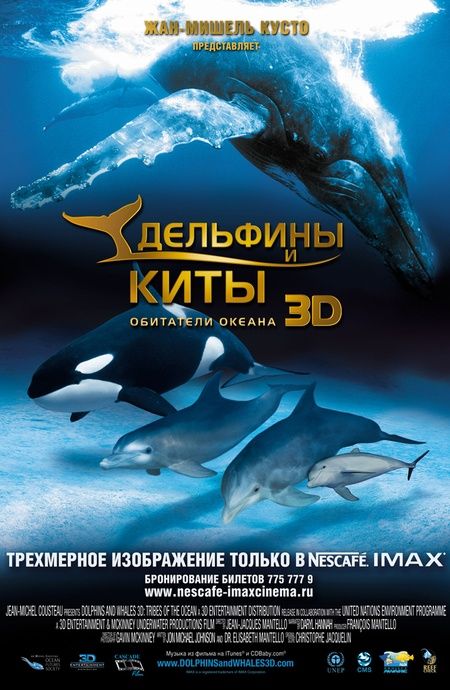 Фильм Дельфины и киты 3D (2008) скачать торрент