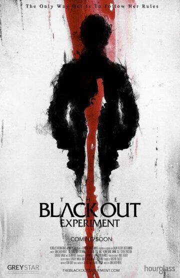 Фильм The Blackout Experiment (2014) скачать торрент